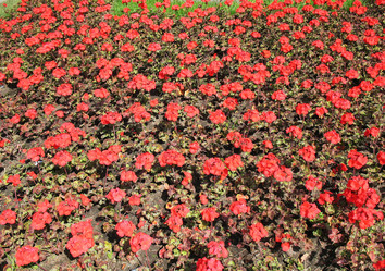 Similar image 1149280