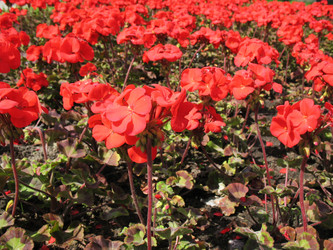 Similar image 1149281