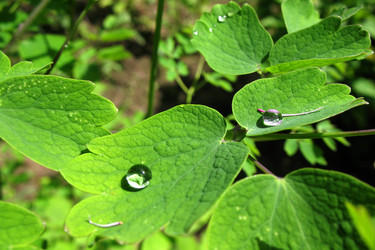 Similar image 1149282