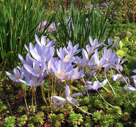 Similar image 1149304