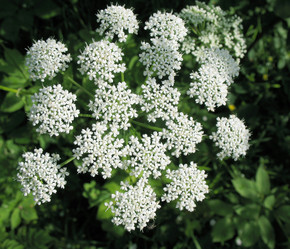 Similar image 1149305