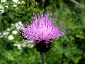 Similar image 1149306