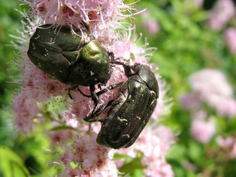 Similar image 1149308