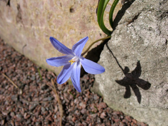 Similar image 1149311