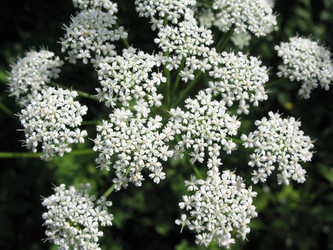 Similar image 1149313