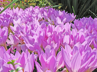 Similar image 1149314