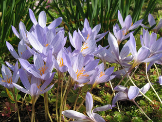 Similar image 1149315