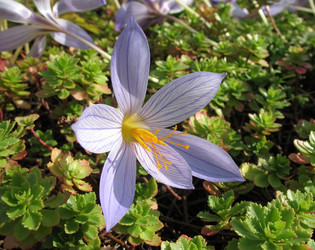 Similar image 1149316