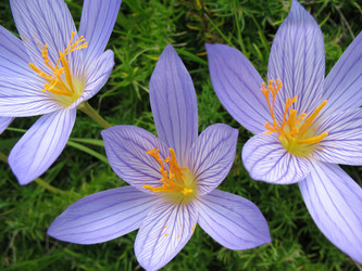 Similar image 1149319