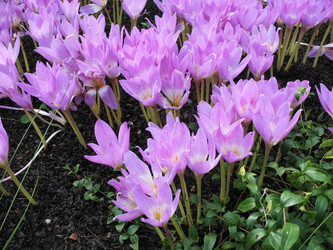 Similar image 1149320