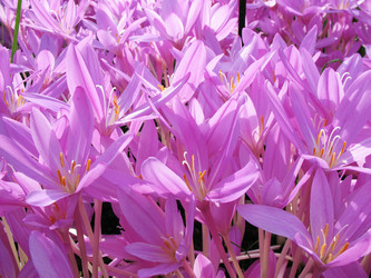 Similar image 1149321