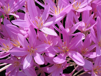 Similar image 1149322