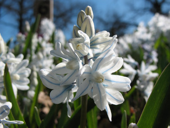 Similar image 1149323