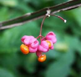 Similar image 1149325