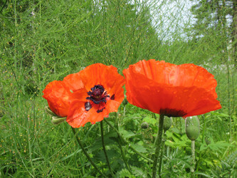 Similar image 1149327