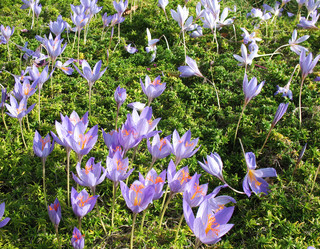 Similar image 1149328