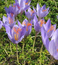 Similar image 1149329