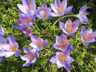 Similar image 1149330