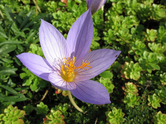 Similar image 1149332