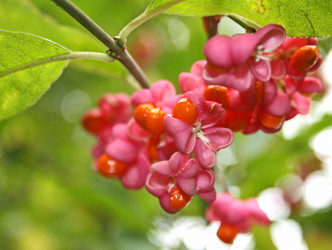 Similar image 1149333