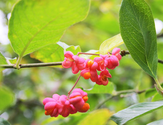 Similar image 1149334