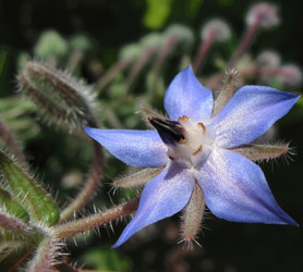 Similar image 1149335