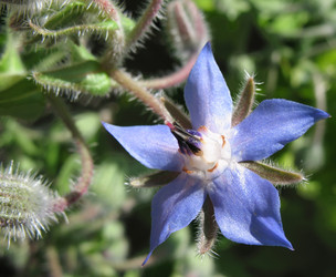 Similar image 1149336