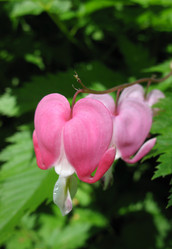 Similar image 1149337