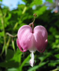 Similar image 1149338