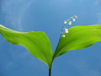 Similar image 1149339