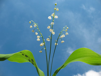 Similar image 1149340