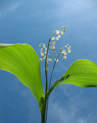 Similar image 1149344