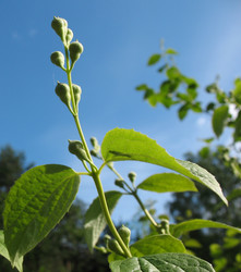 Similar image 1149347