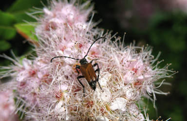 Similar image 1149348