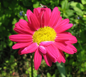 Similar image 1149356