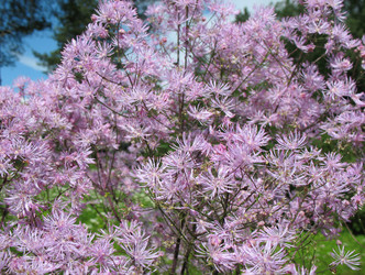 Similar image 1149357