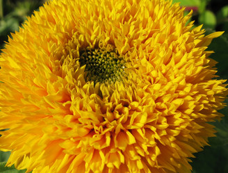 Similar image 1149359