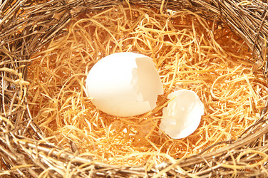 Similar image 1149376