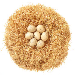 Similar image 1149381