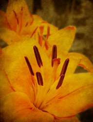 Similar image 1149385