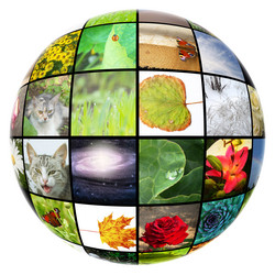 Similar image 1149386