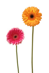 Similar image 1149805