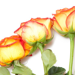 Similar image 1149818