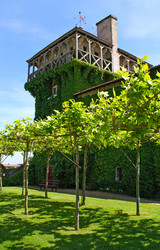 Similar image 1149829