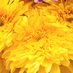 Similar image 1149835