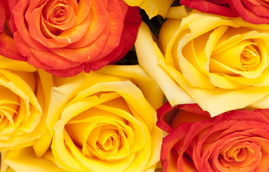 Similar image 1149836