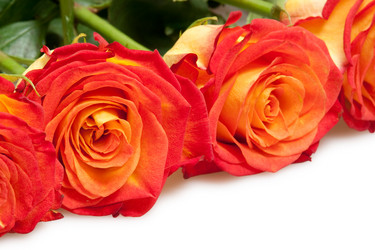 Similar image 1149839