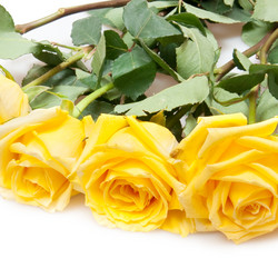 Similar image 1149840