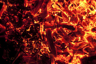 Similar image 1149886