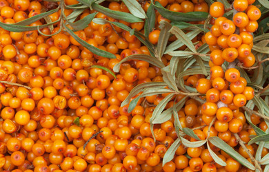 Similar image 1149887